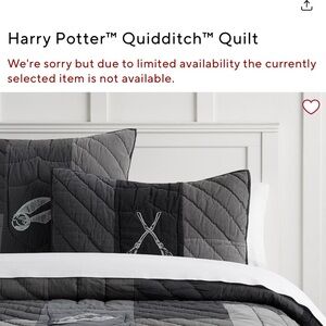 Pottery Barn Teen. Quidditch Quilt Set - Gray